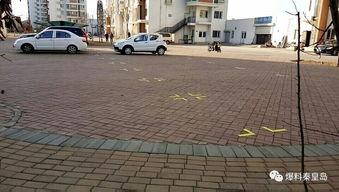 家园小区爆料视频最新版,惊人真相曝光！